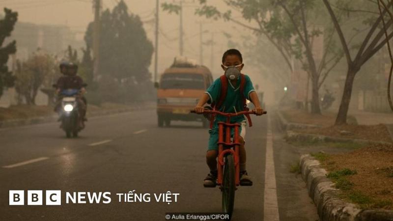 Những biến thể khác nhau khi mơ thấy đàn ông cởi truồng và con số tương ứng trong sổ mơ